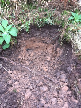 The clay - being dug at the site of the 1840s clay pit
